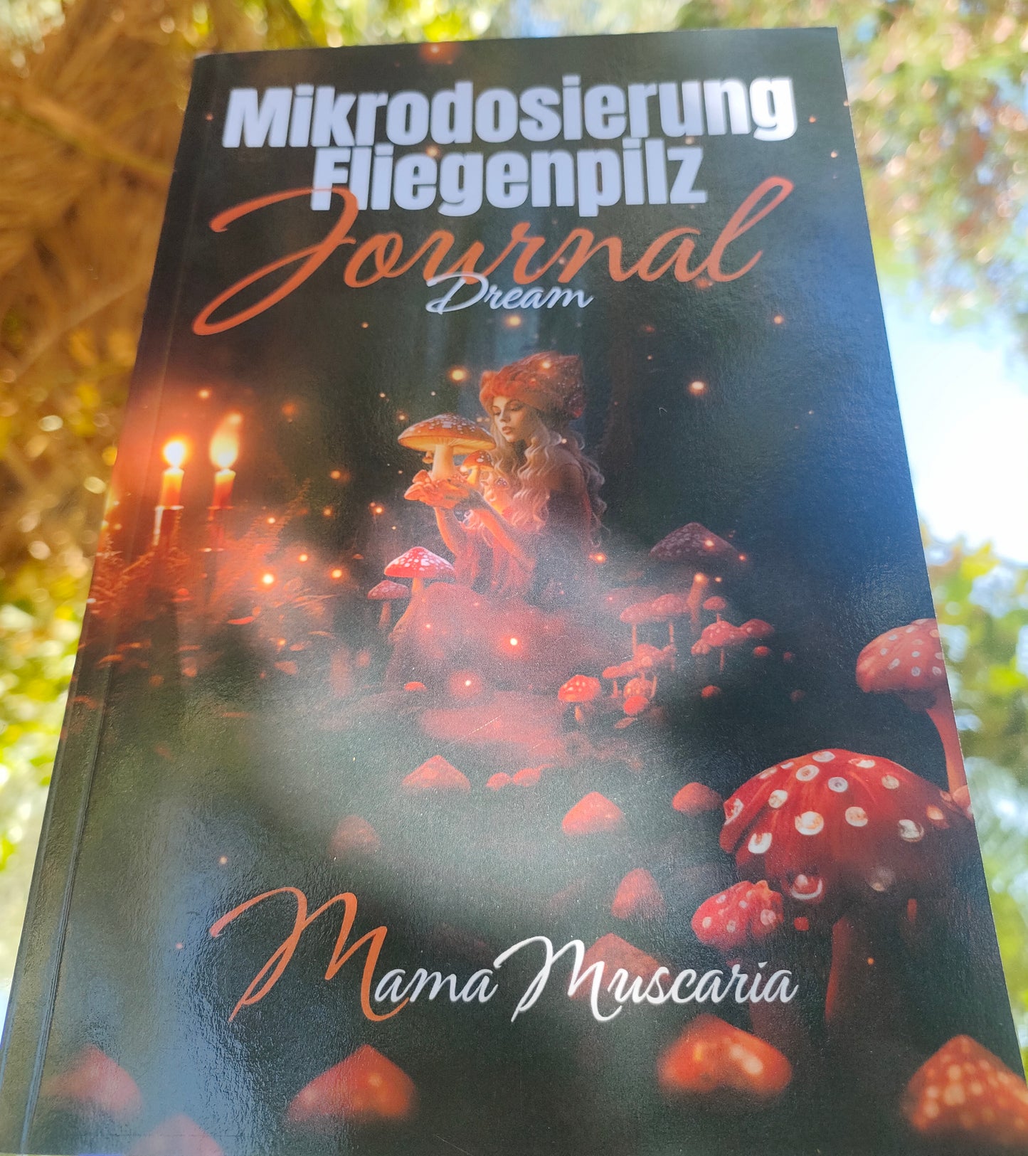 Amanita Muscaria Microdosing Journal