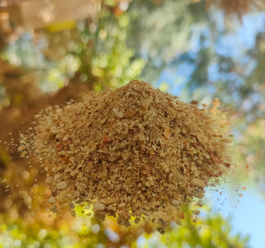 Getrocknetes Fliegenpilz Pulver für Microdosing